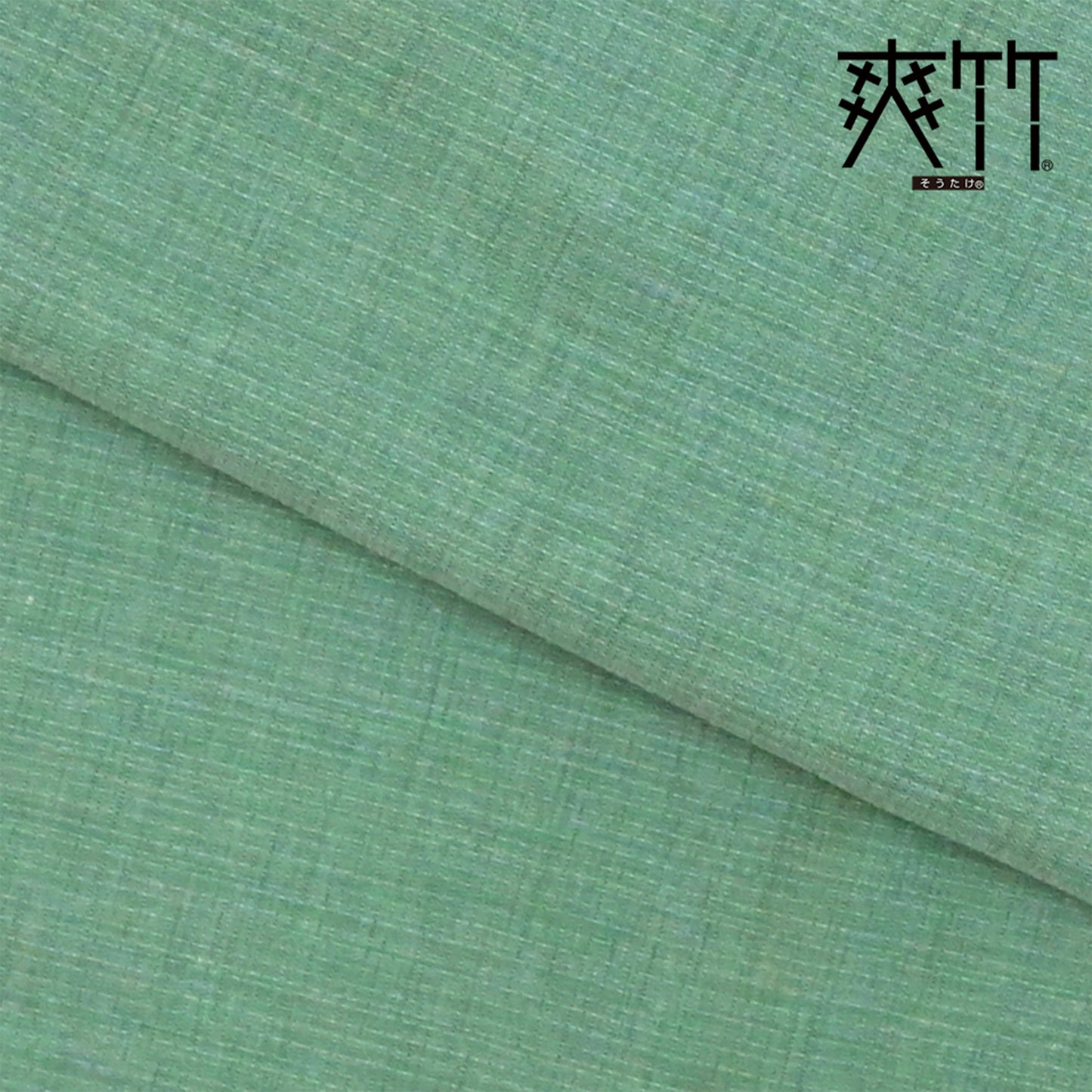 【東レ爽竹】スリーシーズン 長襦袢 紅梅(小格子) 無地 (J)千種色(グリーン)