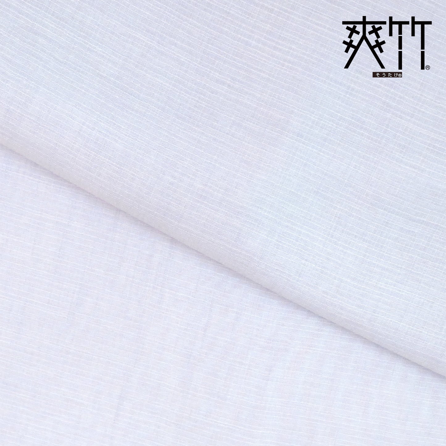 【東レ爽竹】スリーシーズン 長襦袢 紅梅(小格子) 無地 (D)霞色(ラベンダー)