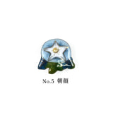 No.5　朝顔
