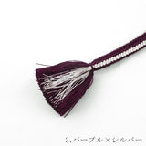 3.パープル×シルバー