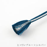 2.マリンブルー×シルバー